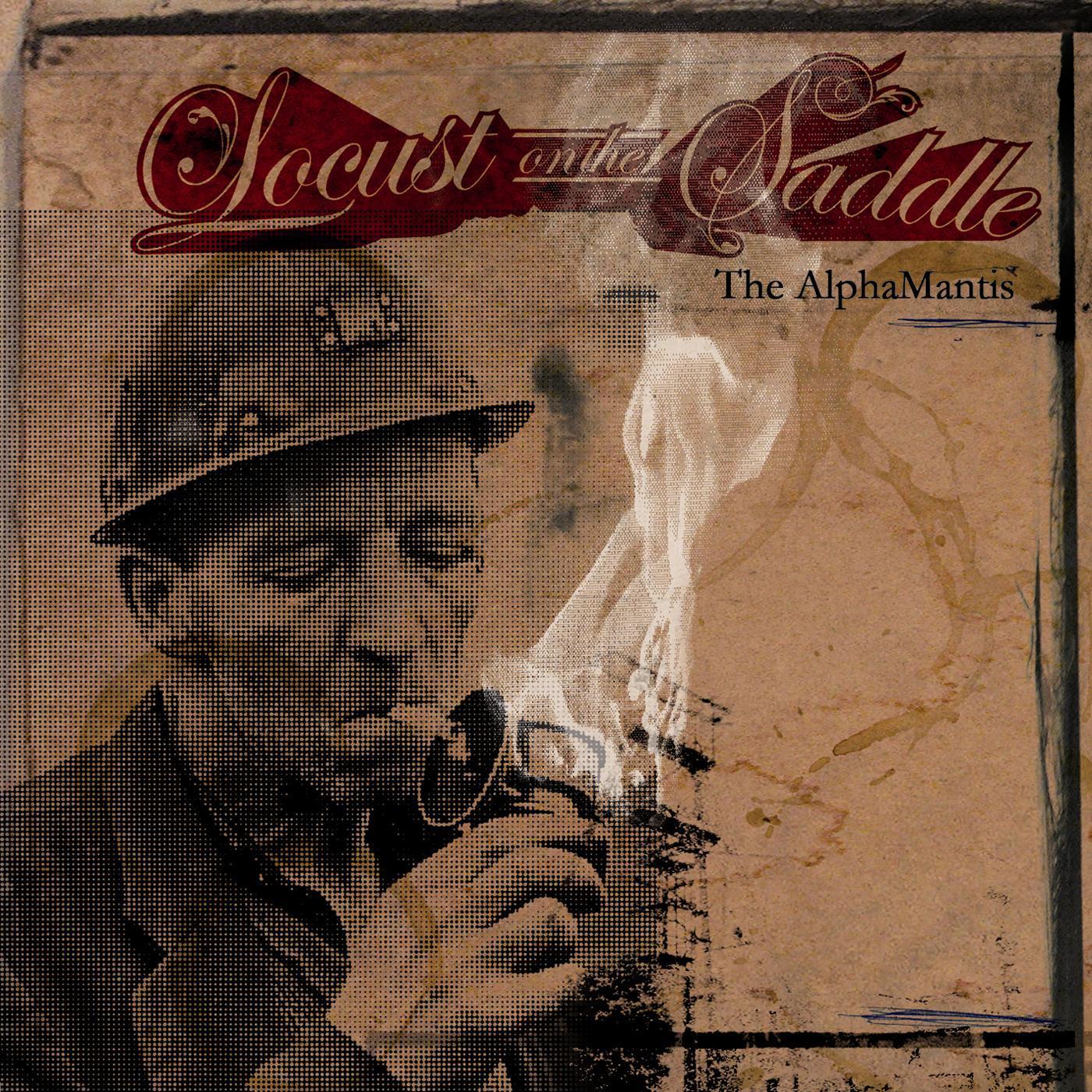 stereotypia - locust on the saddle - 单曲 - 网易云音乐