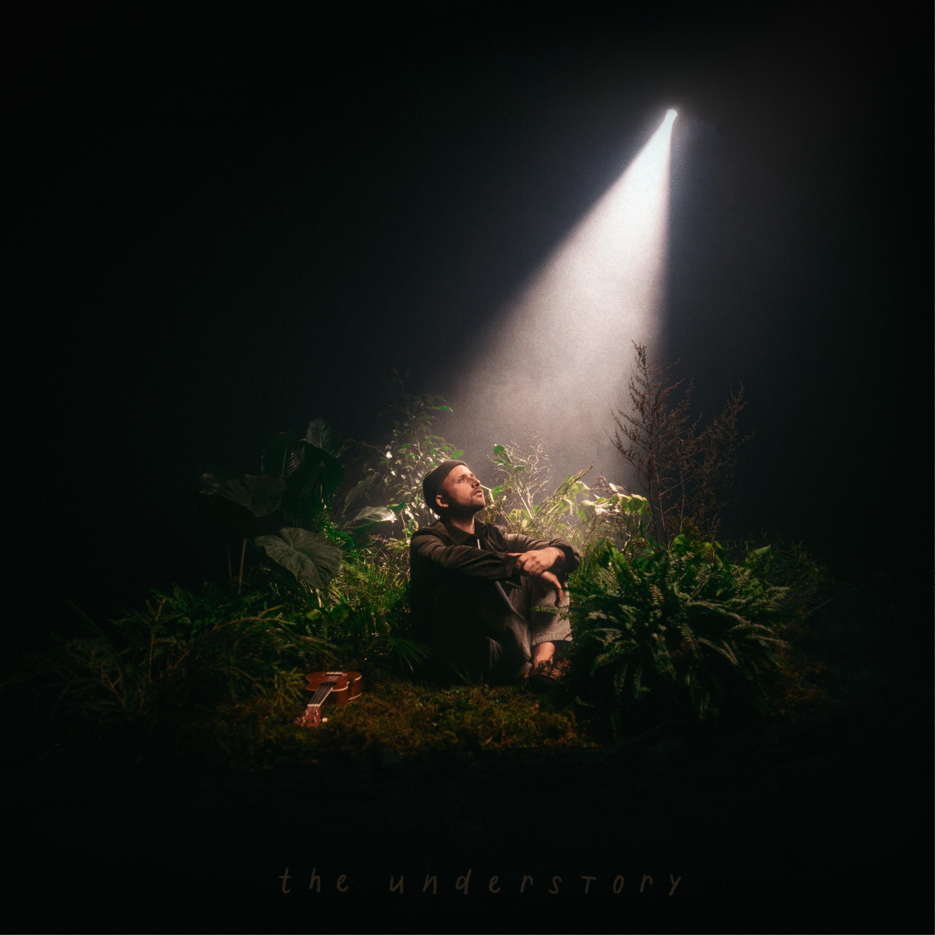 the understory