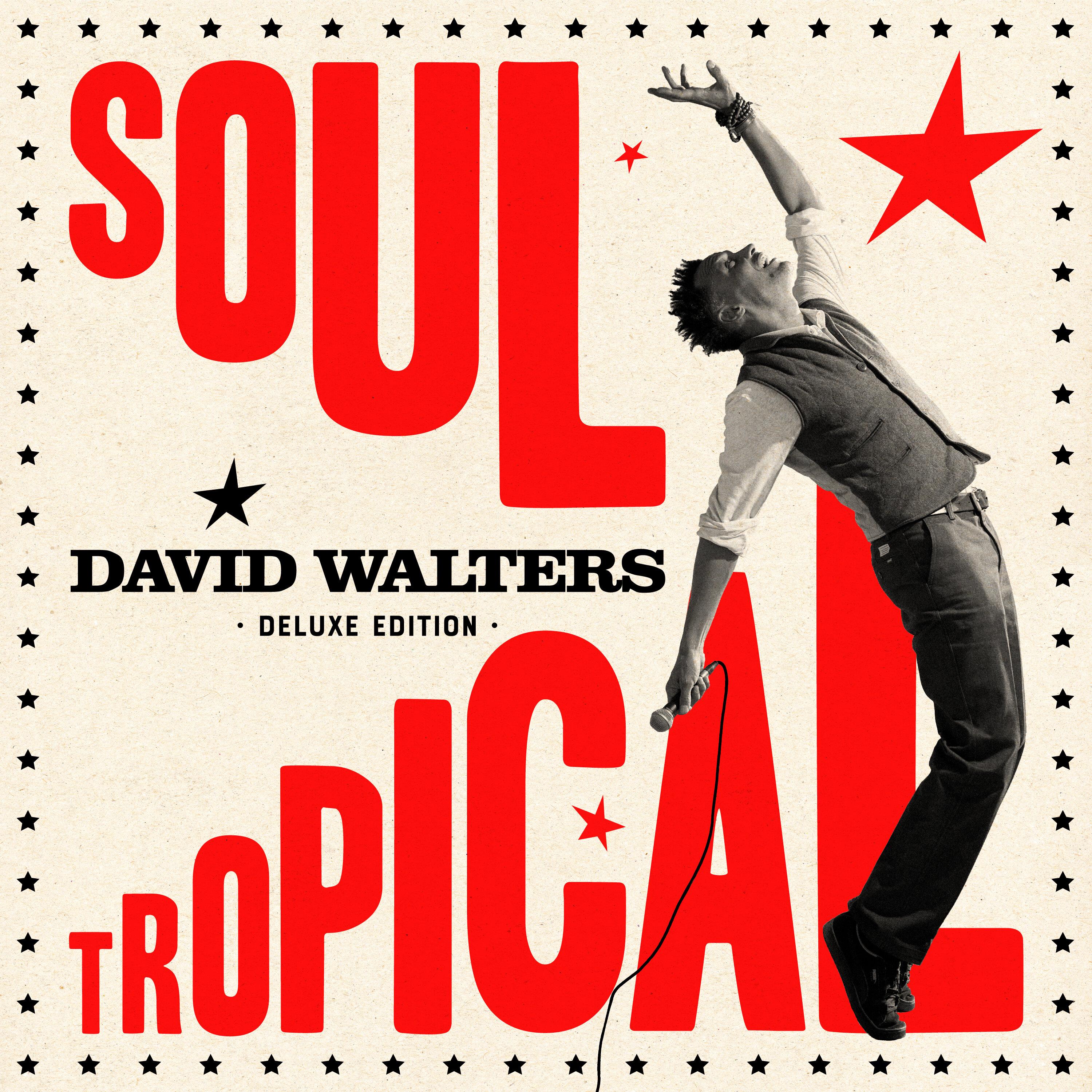 David Walters - Soul Tropical