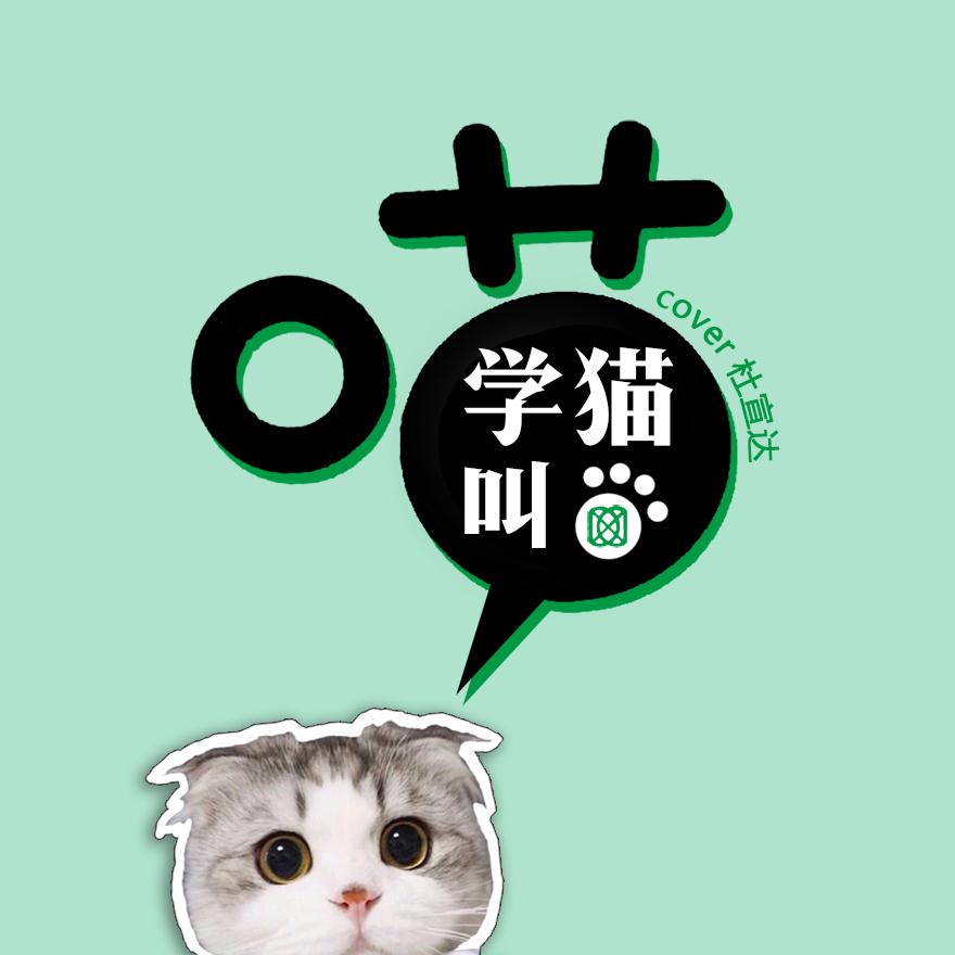 学猫叫专辑