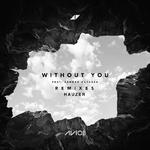 Without You (Hauzer Remix)专辑