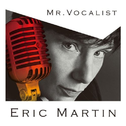 Mr. Vocalist专辑