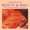 Beauty & Soul: Music for Relaxation专辑