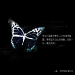 无影的痛专辑