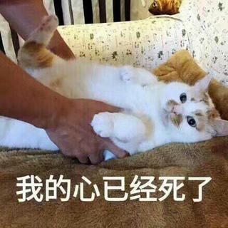 贼好听的吉他翻唱