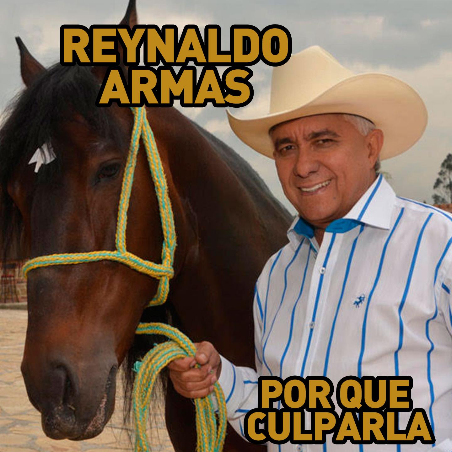 Por Que Culparla