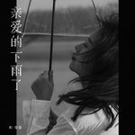 亲爱的下雨了专辑