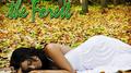Sleep Deep in the Forest (Nature Sound)专辑