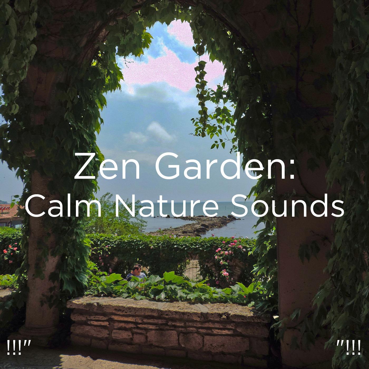 !!!" Zen Garden: Calm Nature Sounds "!!!