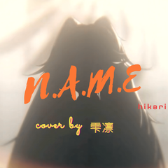 N.A.M.E【战双帕弥什】