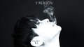 Y REASON专辑