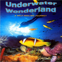 Underwater Wonderland Vol.1 - A Self Healing Journey专辑