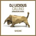 Calling (Zonderling Remix)专辑
