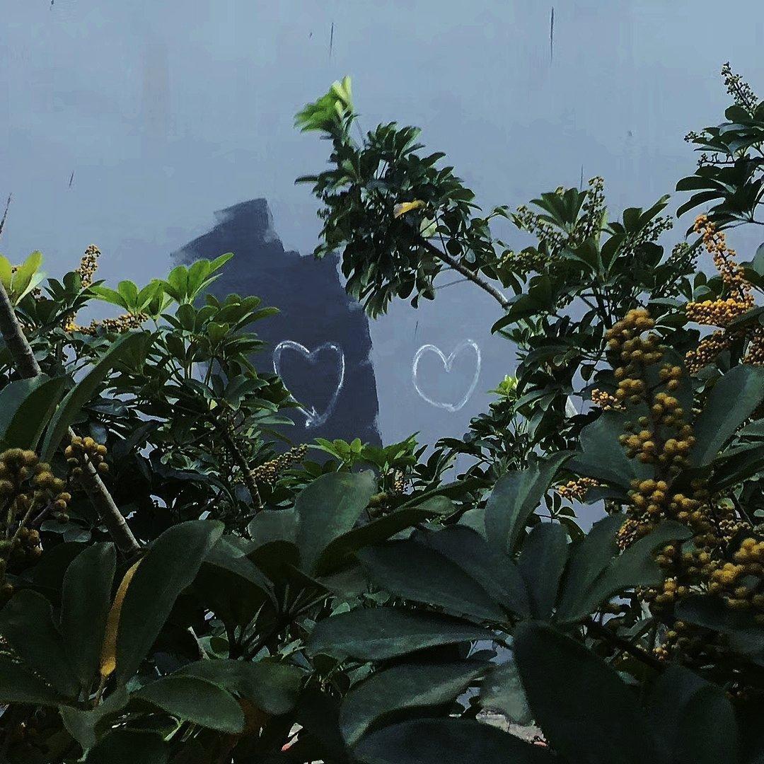 影之诗FLAME OP2 自用