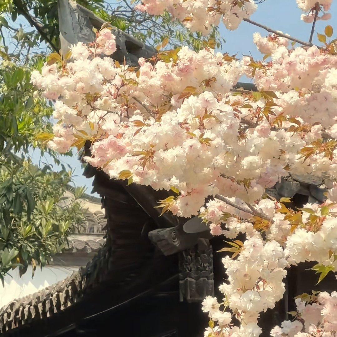 古言/耽适配歌单 | 在线播放 | 网易云音乐