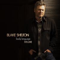 Blake Shelton - We Can Reach The Stars (unofficial Instrumental) 无和声伴奏