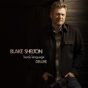 Blake Shelton - We Can Reach The Stars (unofficial Instrumental) 无和声伴奏 （降8半音）