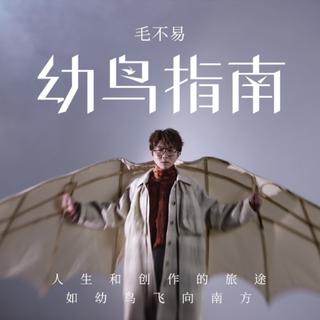 幼鸟指南｜毛不易