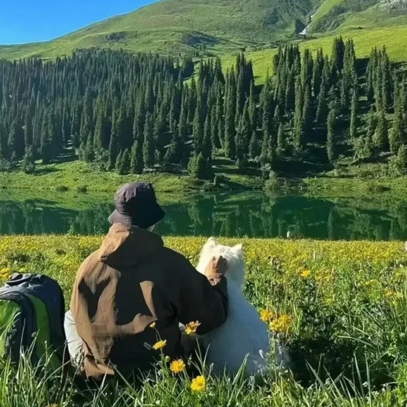 小众华语流行｜不跟风的独特腔调 | 在线播放 | 网易云音乐
