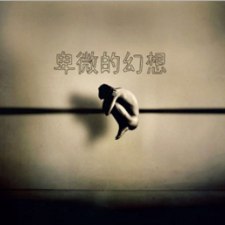 卑微的幻想专辑