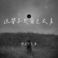 茗承伦 - 这辈子欠自己太多(原版伴奏)