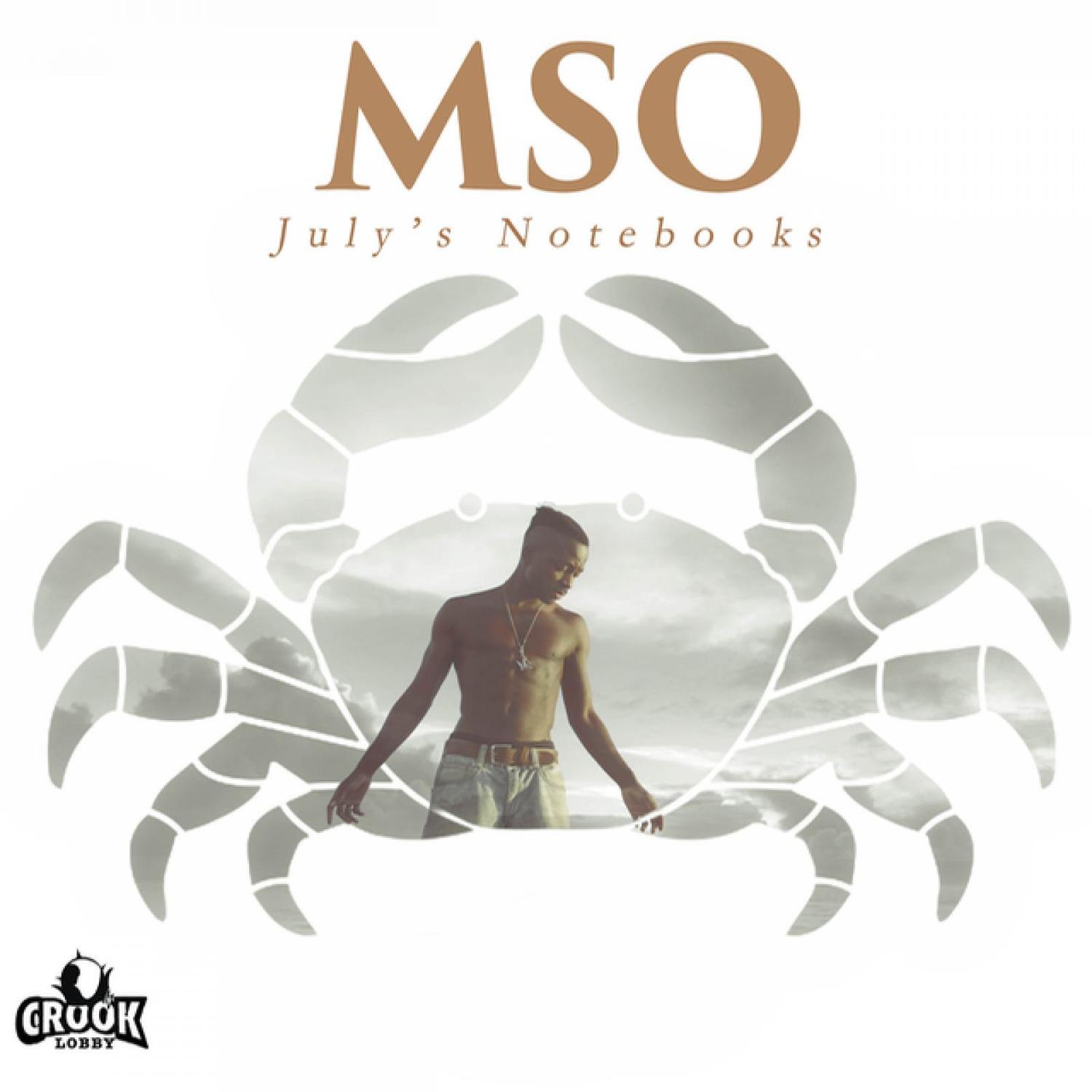July's Notebooks