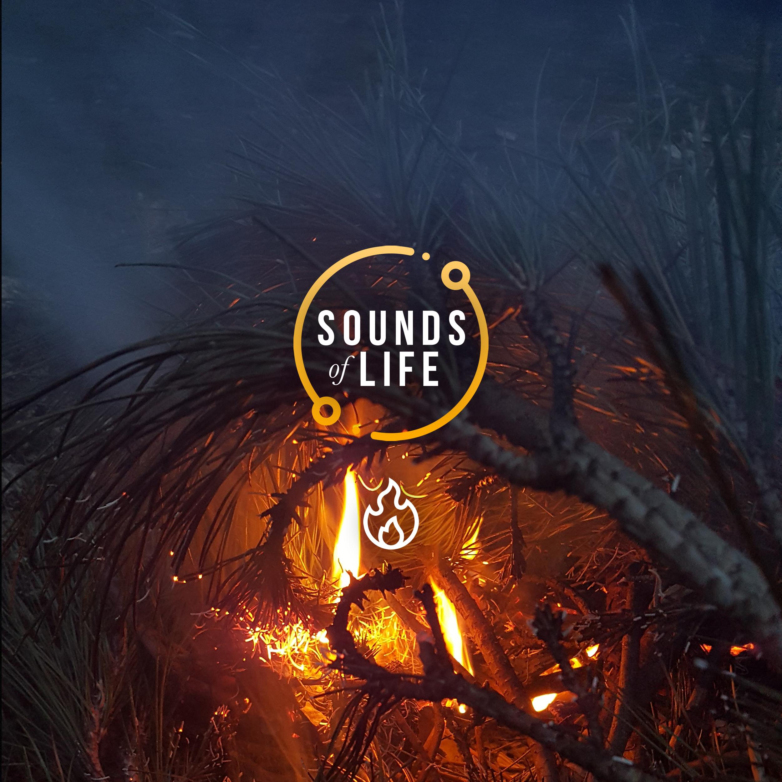 Fire Raging with Crickets