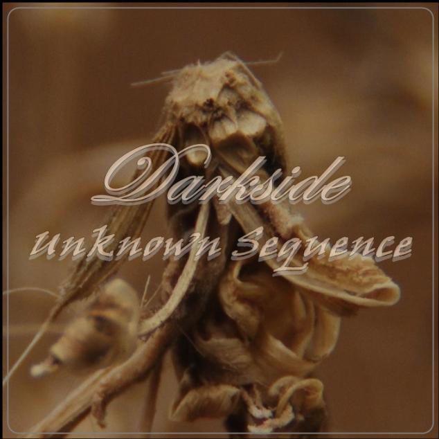 Unknown Sequence