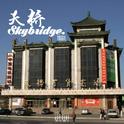 天桥Skybridge专辑