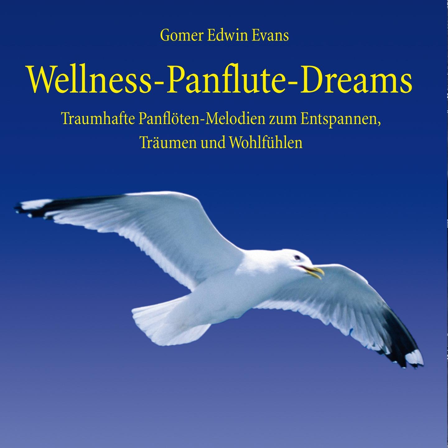 Wellness Panflute Dreams : Melodien zum Träumen und Entspannen专辑