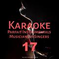 Karaoke Parfait Instrumentals Musicians & Singers, Vol. 17
