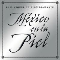 Luis Miguel - De Que Manera Te Olvido (Karaoke Version)
