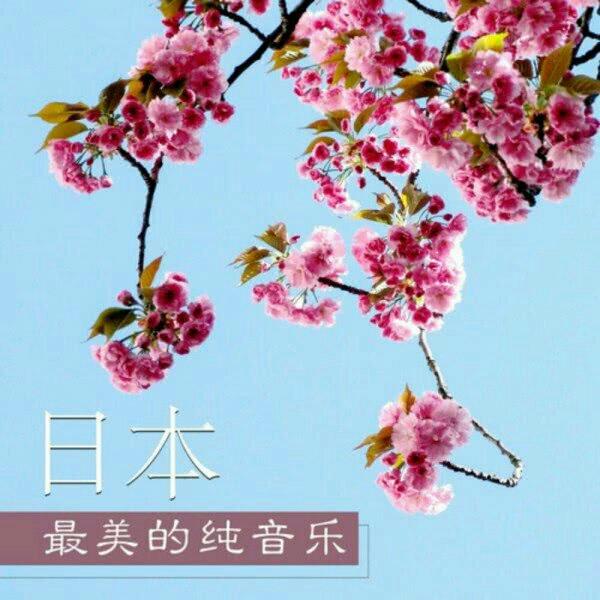 纯音乐♬东瀛音韵精选合集