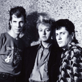 Stray Cats