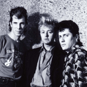 Stray Cats