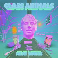 Heat Waves - Glass Animals (VS karaoke) 带和声伴奏