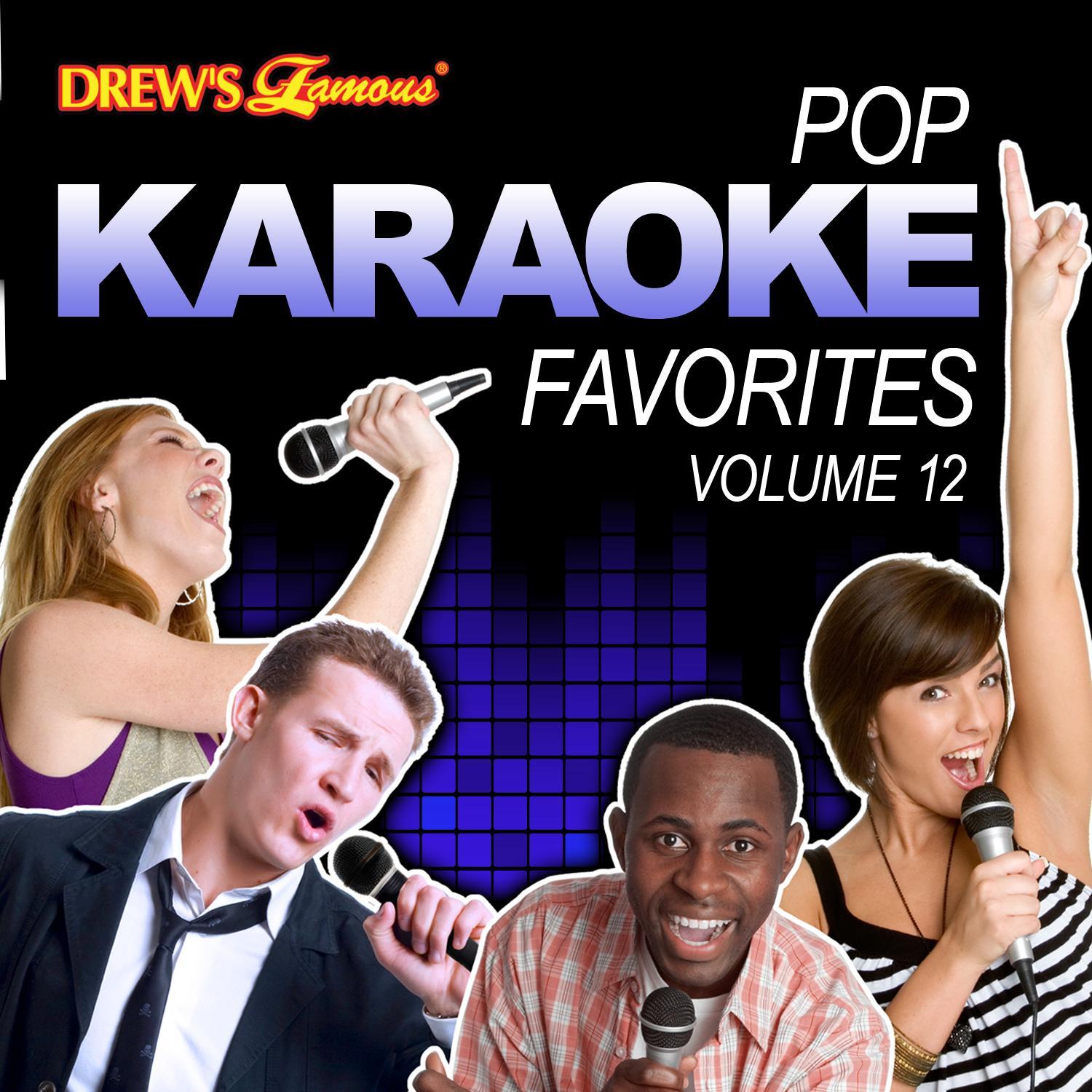 Pop Karaoke Favorites, Vol. 12