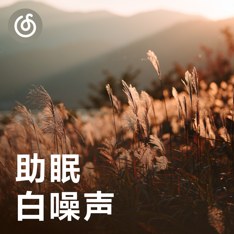 [助眠白噪声] 你的疏压辅助工具
