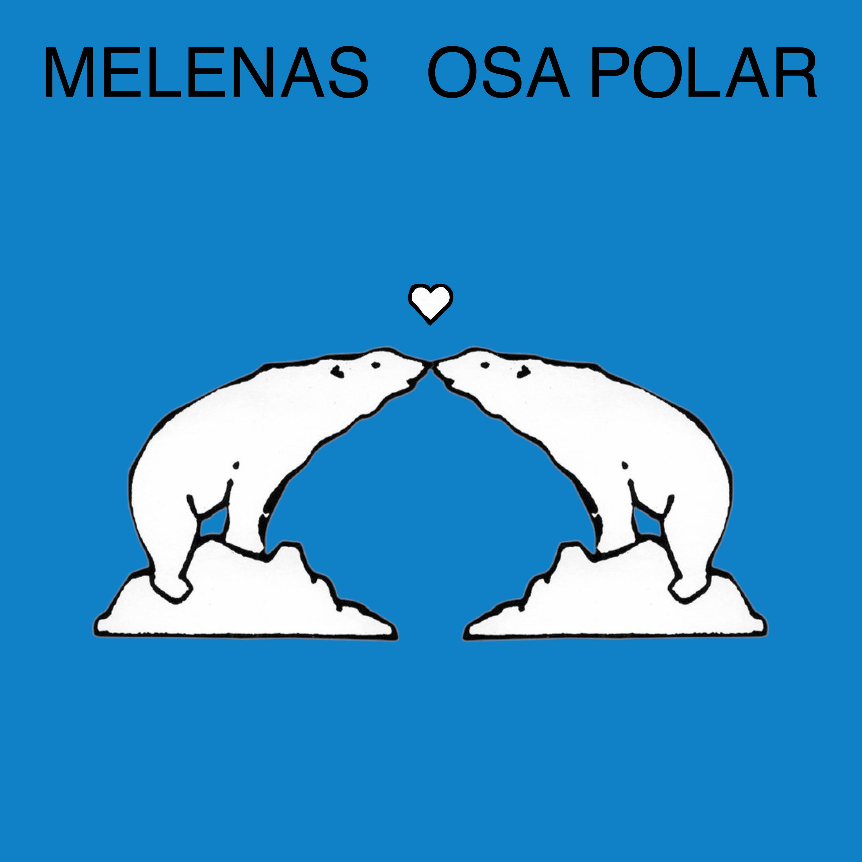 Osa Polar