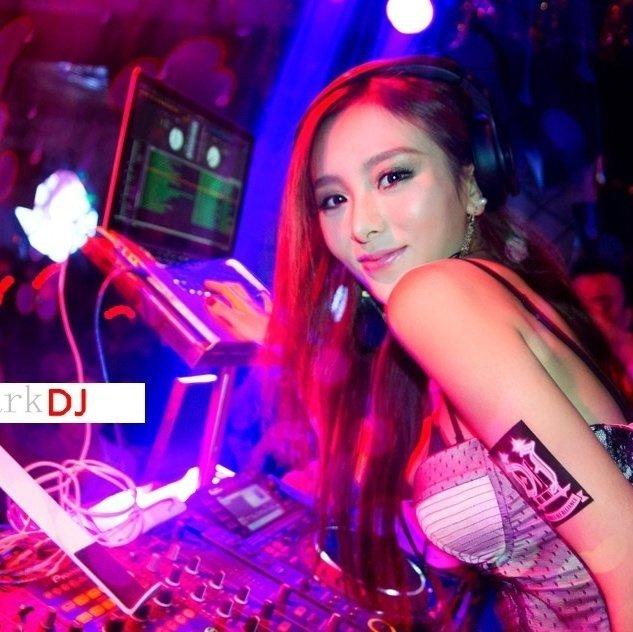 中文DJ汽车音乐-全无损