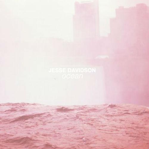 Jesse Davidson - Flaws