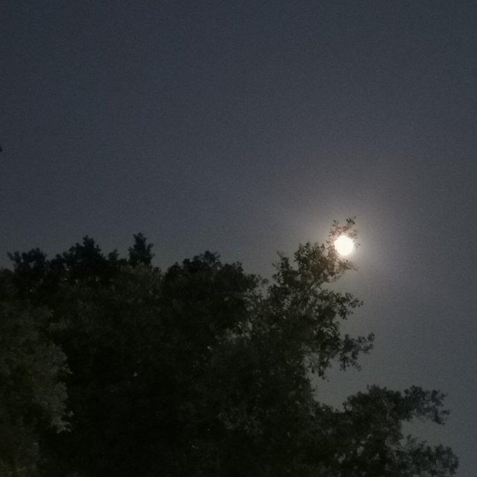 你话d白话歌唔好听 你系咪傻嘎