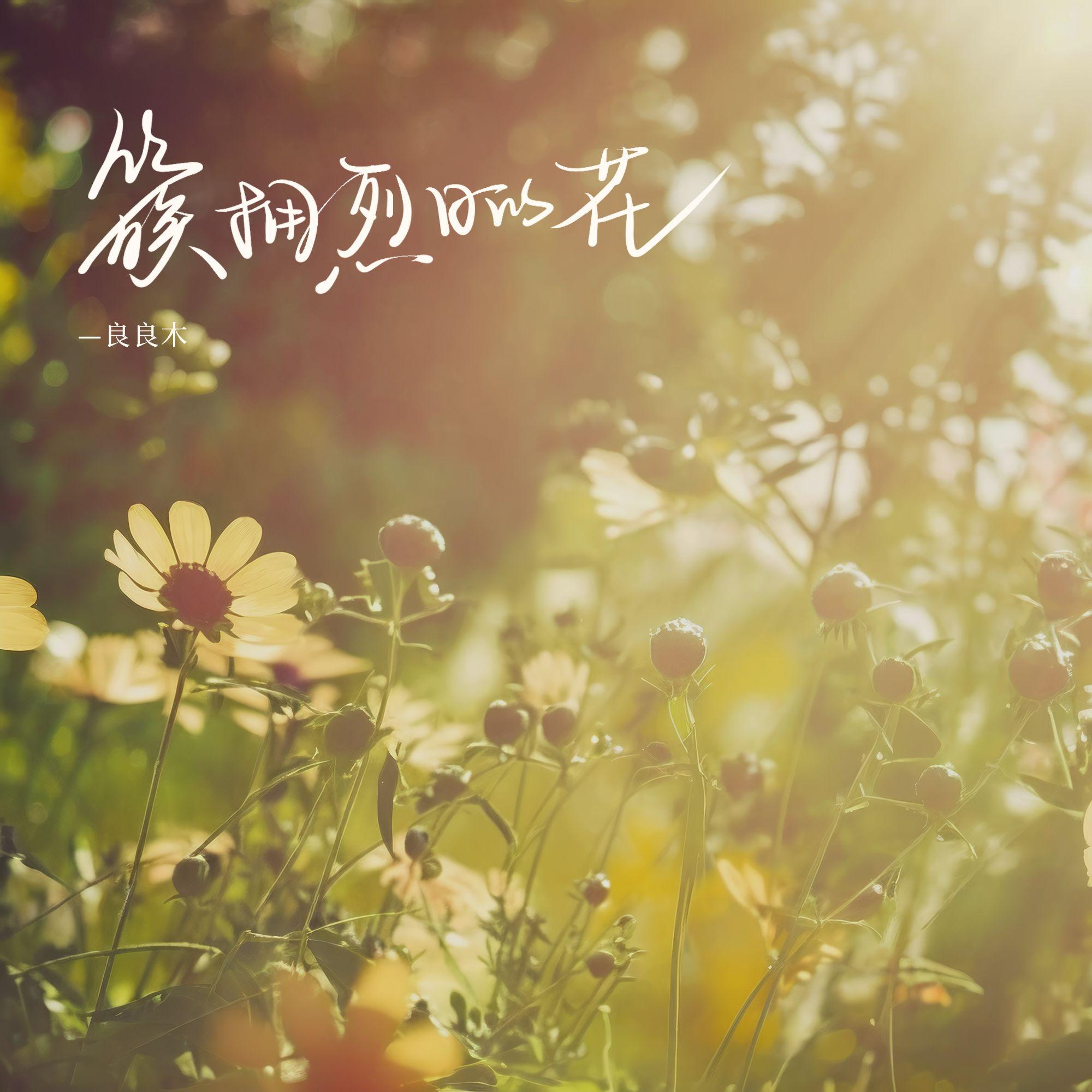 簇拥烈日的花