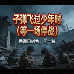 子弹飞过少年时（等一场停战）