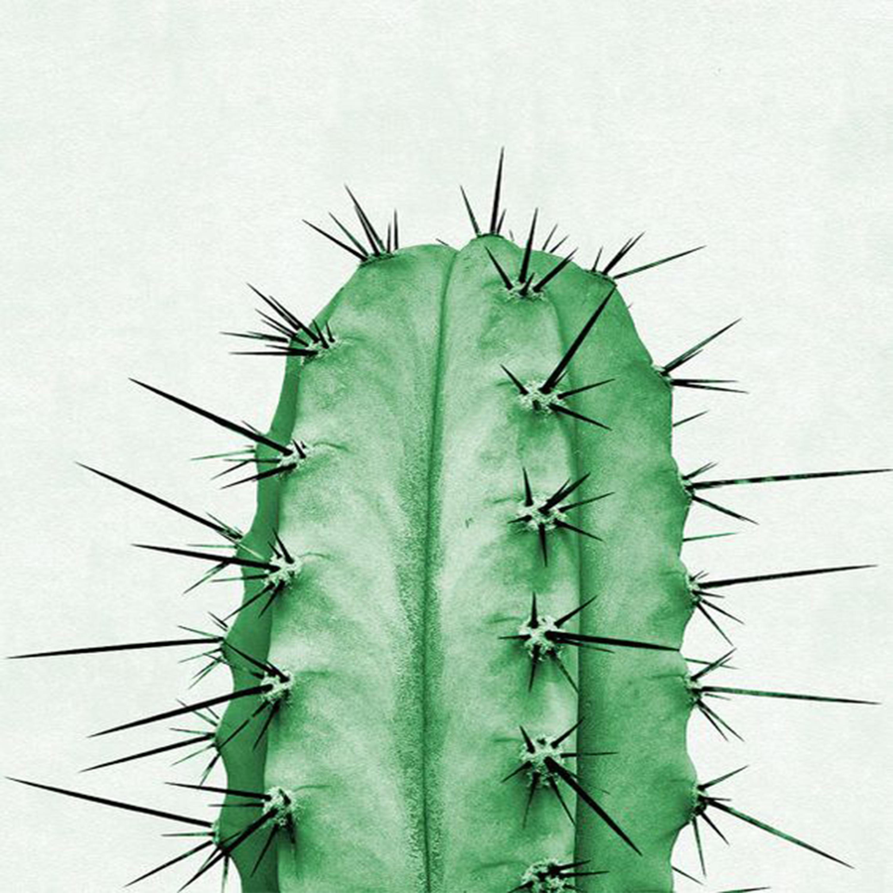 holding on - luna shadows/barloe team - 单曲 - 网易云音乐