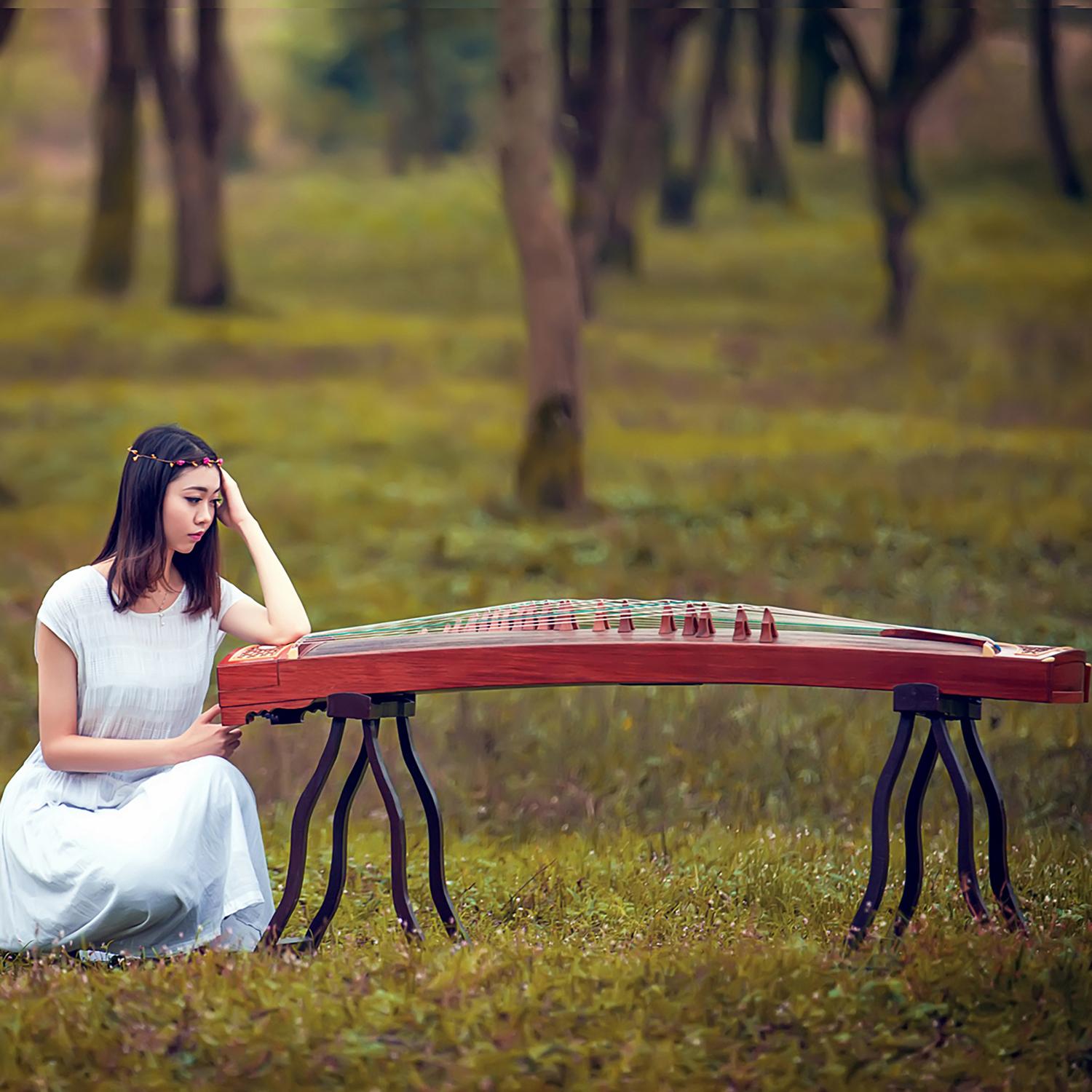 牧羊曲 (古筝独奏)