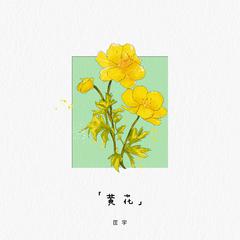 黄花（伴奏）