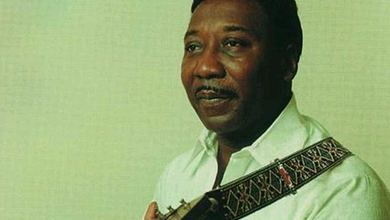 Muddy Waters