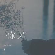 你若(DJ名龙版)