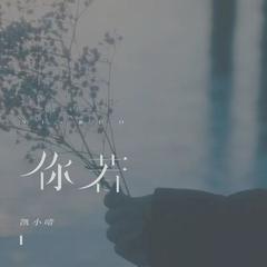 你若（DJ名龙版）